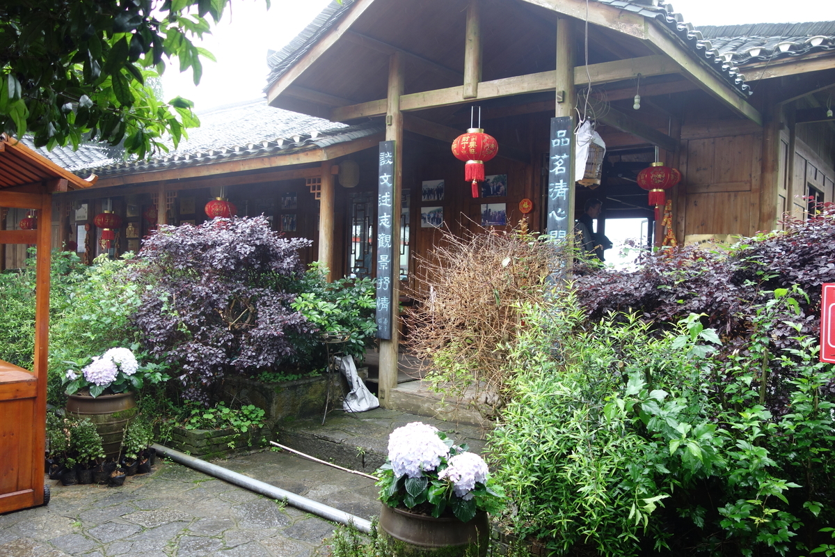 f:id:brown-lizard:20201206185417j:plain