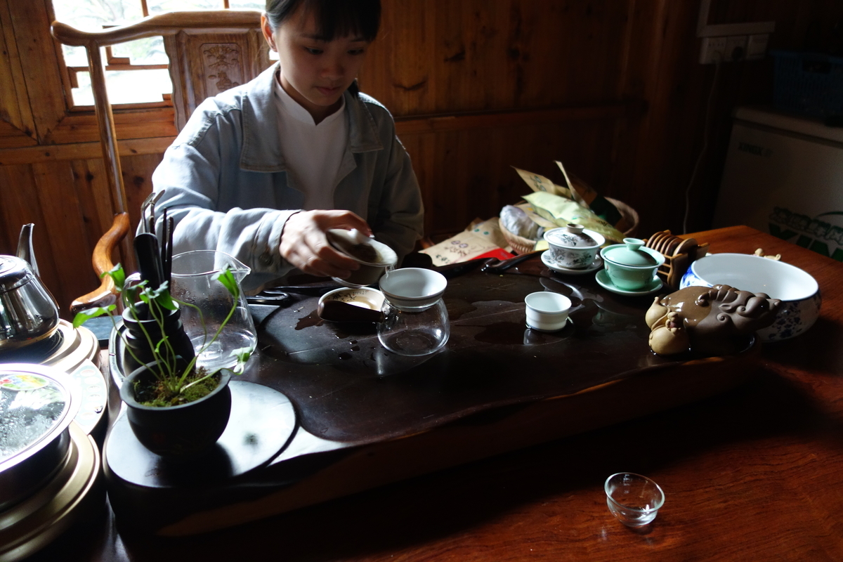 f:id:brown-lizard:20201206185425j:plain