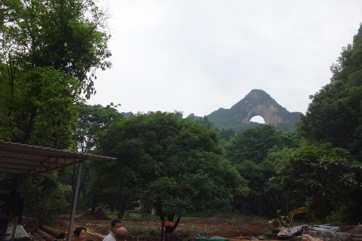 f:id:brown-lizard:20201206185838j:plain