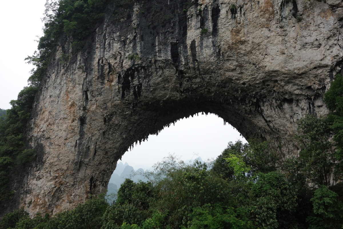 f:id:brown-lizard:20201206185851j:plain