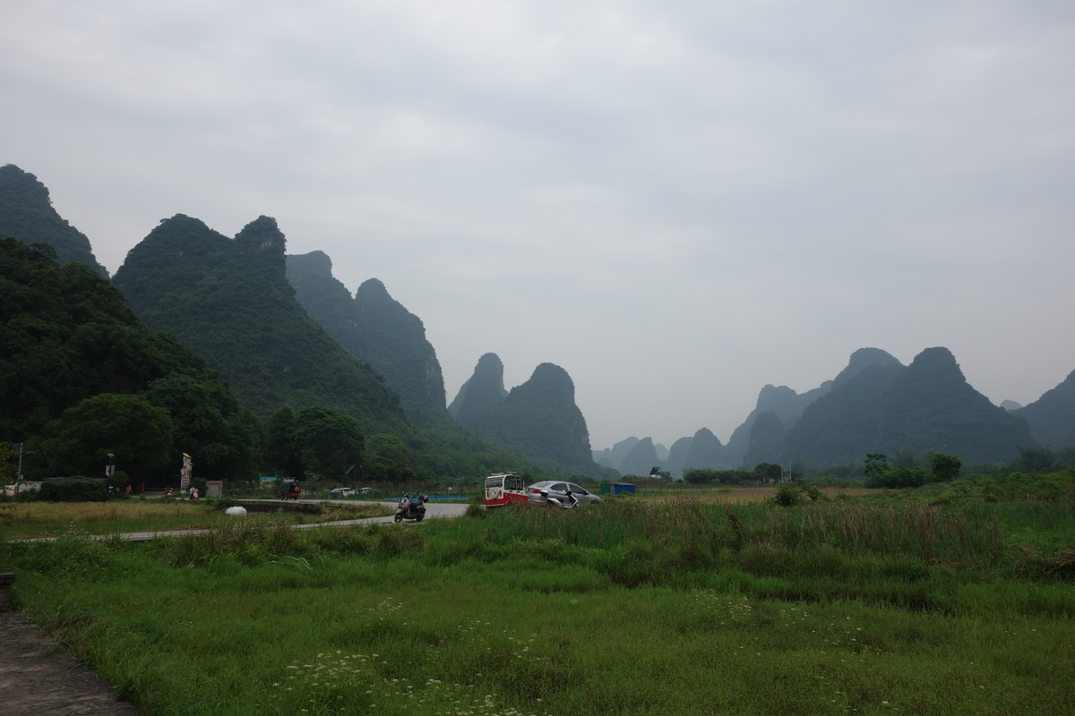 f:id:brown-lizard:20201206185909j:plain