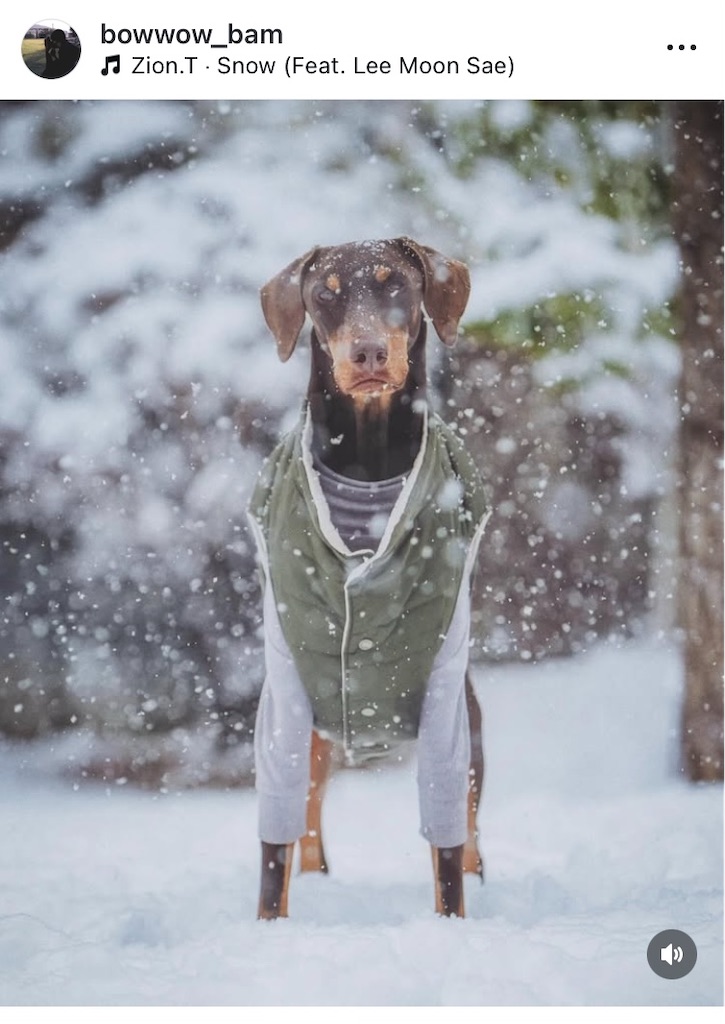 f:id:brownbrownbearnew:20241127210514j:image