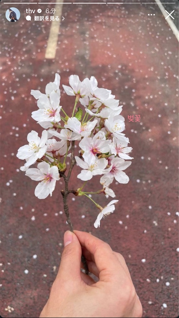 f:id:brownbrownbearnew:20250430224841j:image