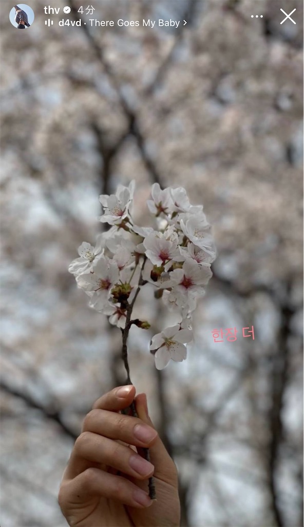 f:id:brownbrownbearnew:20250430224845j:image