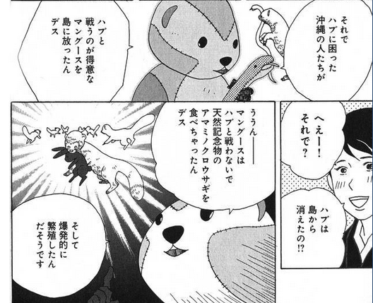 f:id:browncapuchin:20170223165226p:plain f:id:browncapuchin:20170223165226p:plain