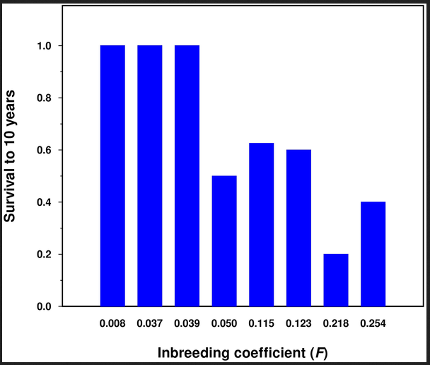 f:id:browncapuchin:20170530163853p:plain