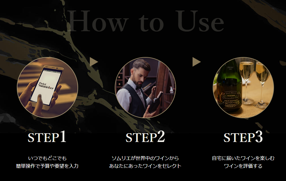f:id:browncat246:20210126014958p:plain