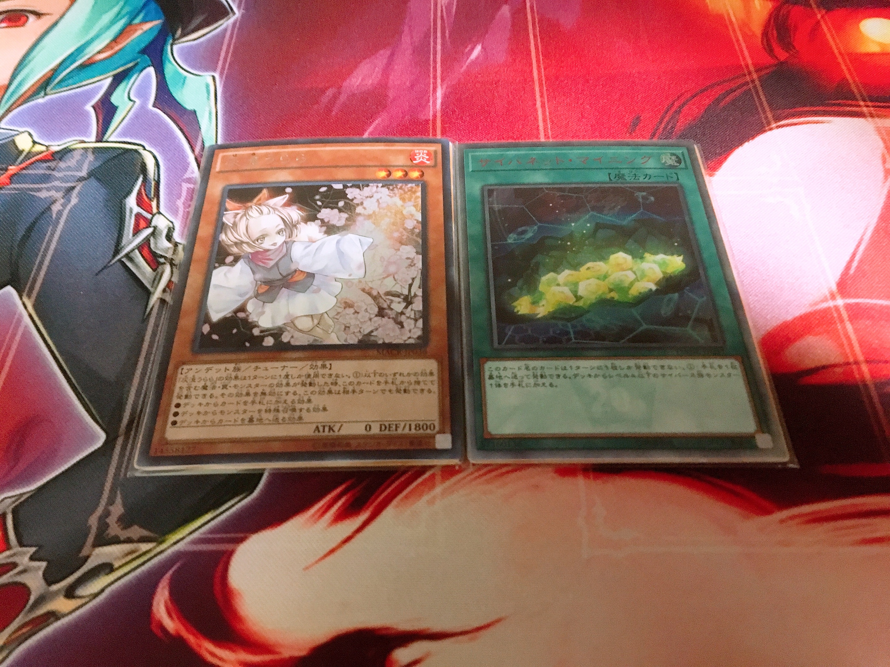 f:id:brs7010:20190130234446j:image f:id:brs7010:20190130234446j:image