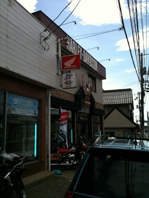 photo:08