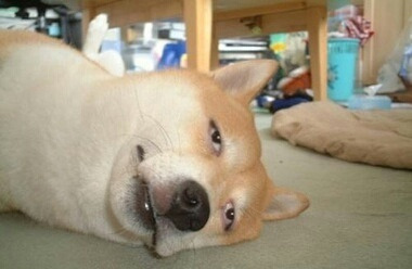 Simplogで写真を見る 投稿写真