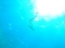 20150519184221