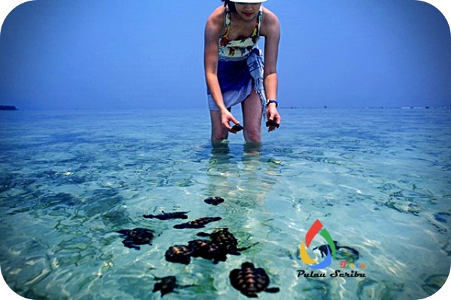 f:id:brunellaxarah:20180925175957j:plain