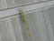 f:id:brunhilde:20050924060259j:image:small