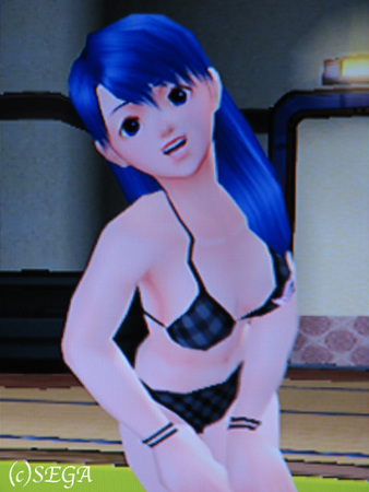 f:id:brunhilde:20071229175737j:image