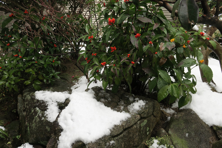 f:id:brunhilde:20160120113052j:image