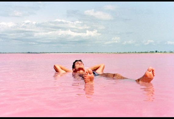 f:id:bryan0230:20180725081538j:plain