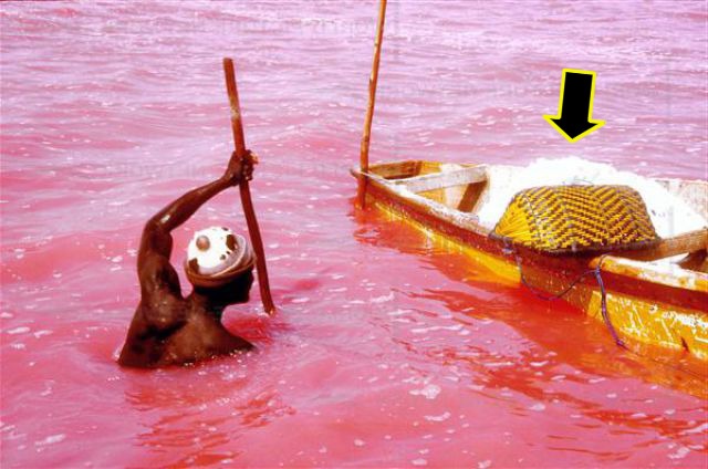 f:id:bryan0230:20180725081702j:plain