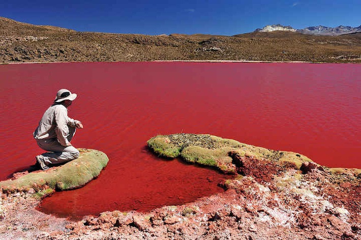 f:id:bryan0230:20180725081858j:plain