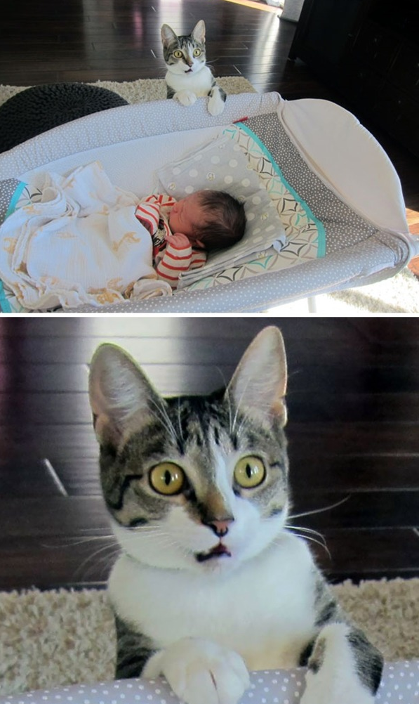 f:id:bryan0230:20180903235555p:plain