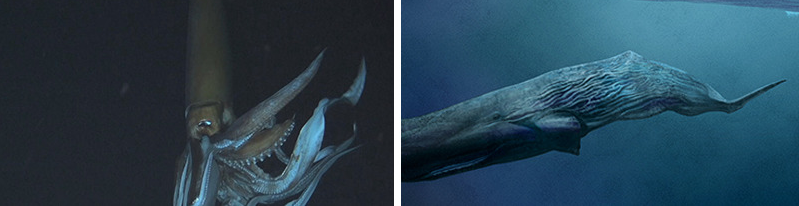 f:id:bryan0230:20180907224706p:plain