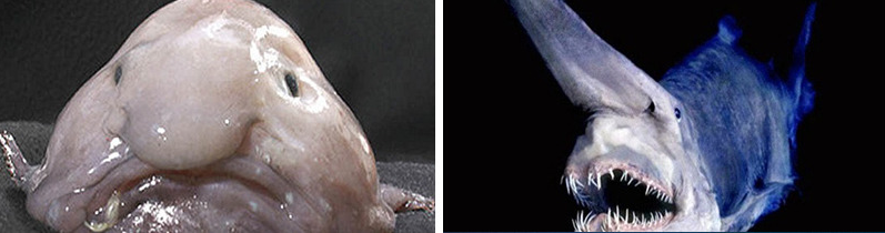 f:id:bryan0230:20180907224714p:plain