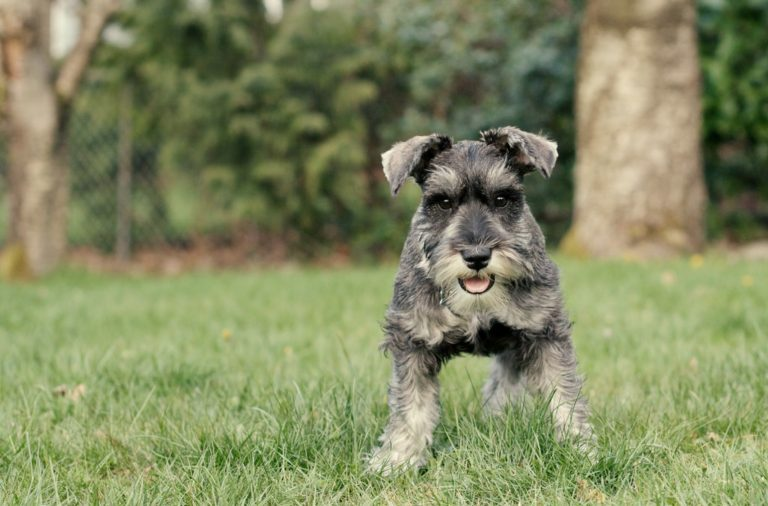 f:id:bryan0230:20181120144939p:plain