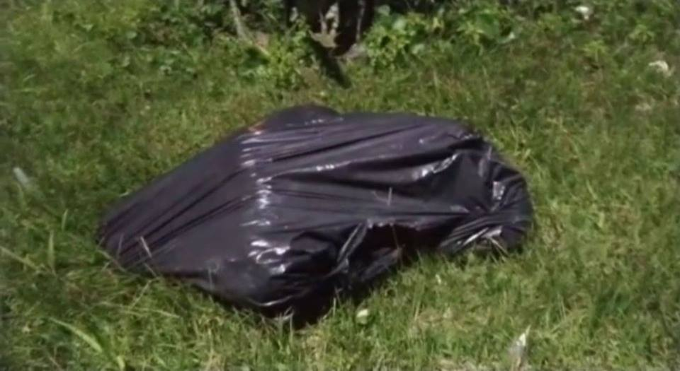 f:id:bryan0230:20190201030128p:plain