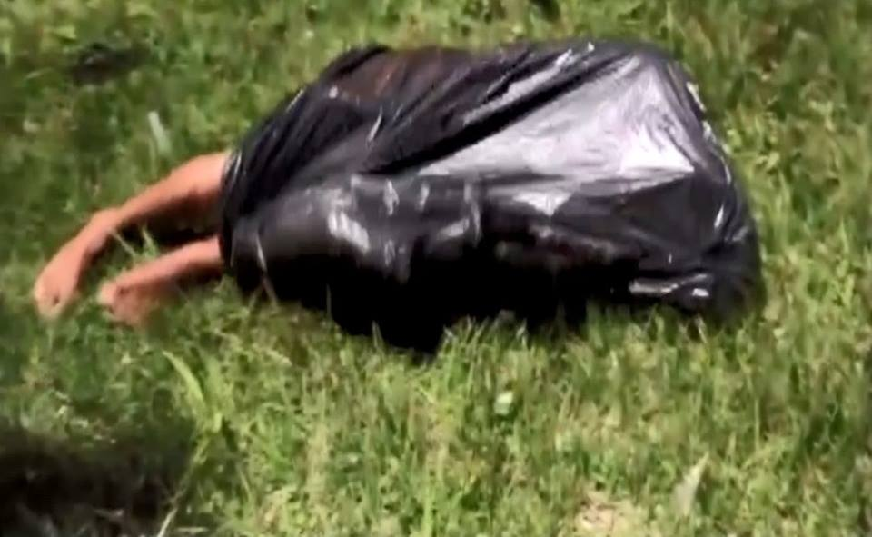 f:id:bryan0230:20190201030141p:plain