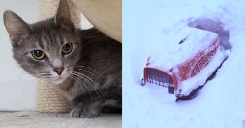 f:id:bryan0230:20190219223124p:plain f:id:bryan0230:20190219223124p:plain