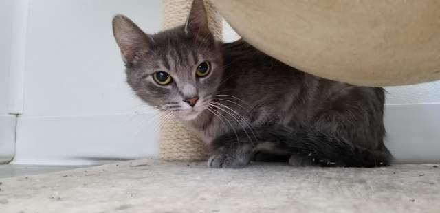 f:id:bryan0230:20190219223239p:plain f:id:bryan0230:20190219223239p:plain