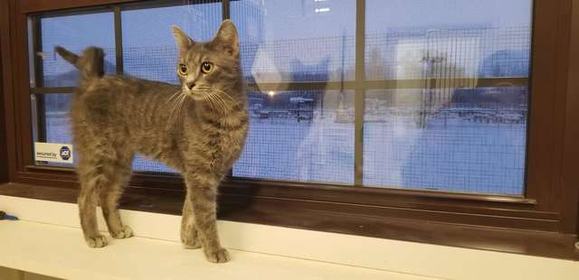 f:id:bryan0230:20190219223251p:plain f:id:bryan0230:20190219223251p:plain