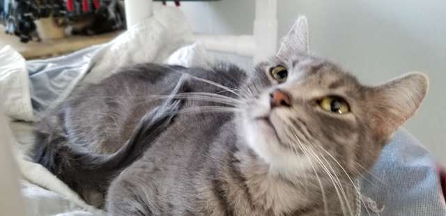 f:id:bryan0230:20190219223304p:plain f:id:bryan0230:20190219223304p:plain