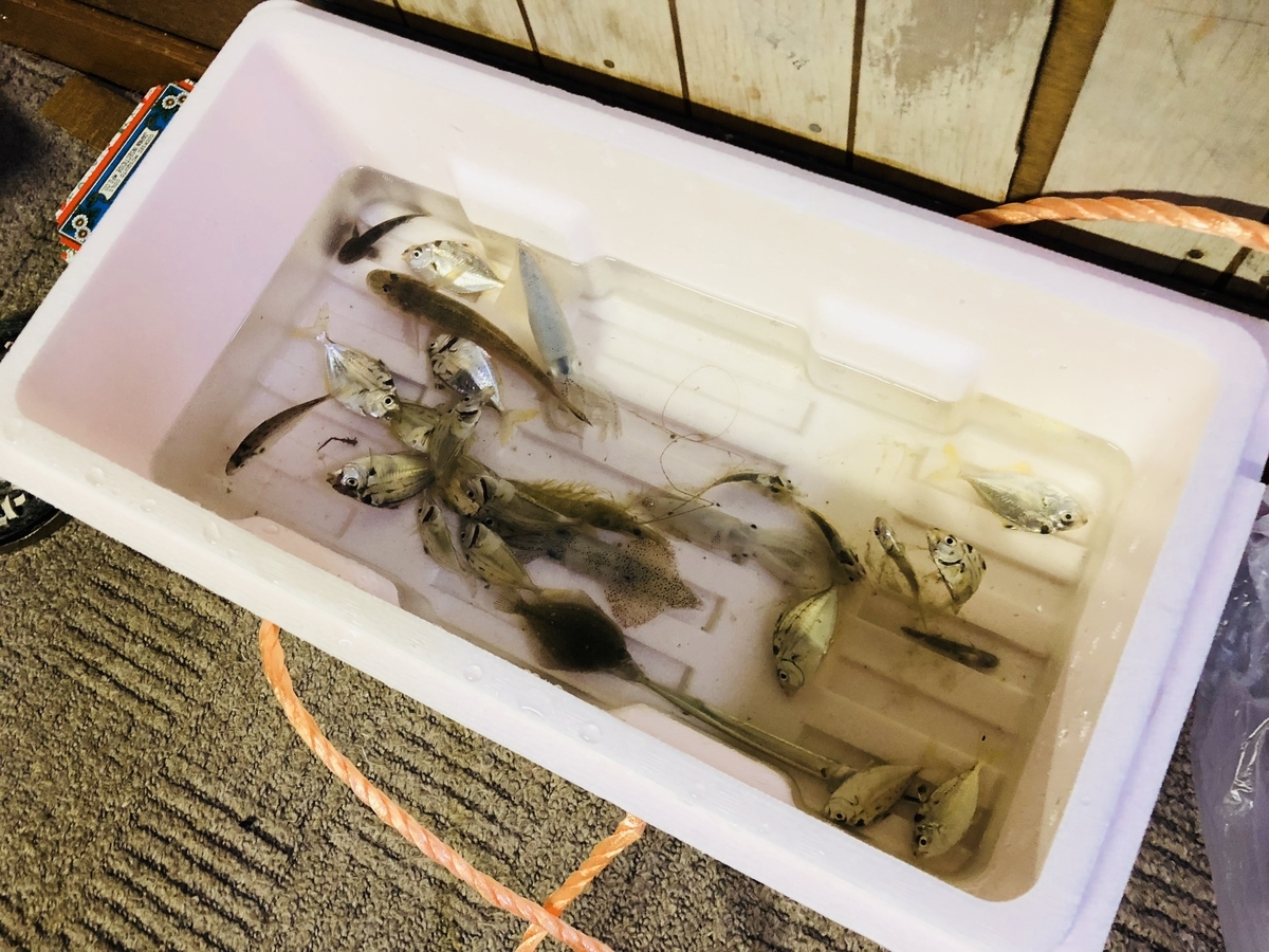 f:id:bryan_f:20190508220603j:plain f:id:bryan_f:20190508220603j:plain