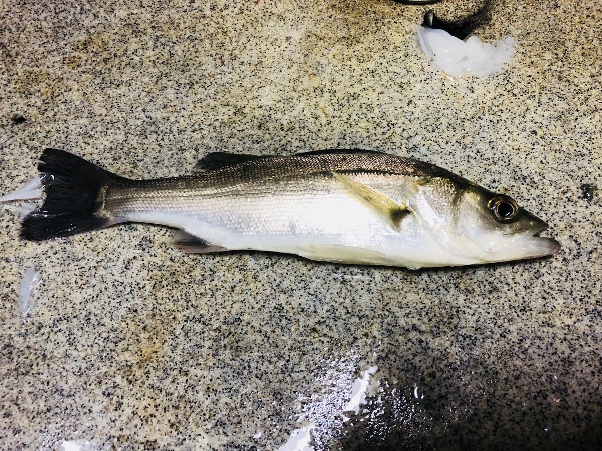 f:id:bryan_f:20190508222425j:plain f:id:bryan_f:20190508222425j:plain