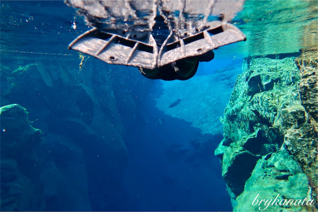 f:id:brykanata:20181008041919j:image f:id:brykanata:20181008041919j:image