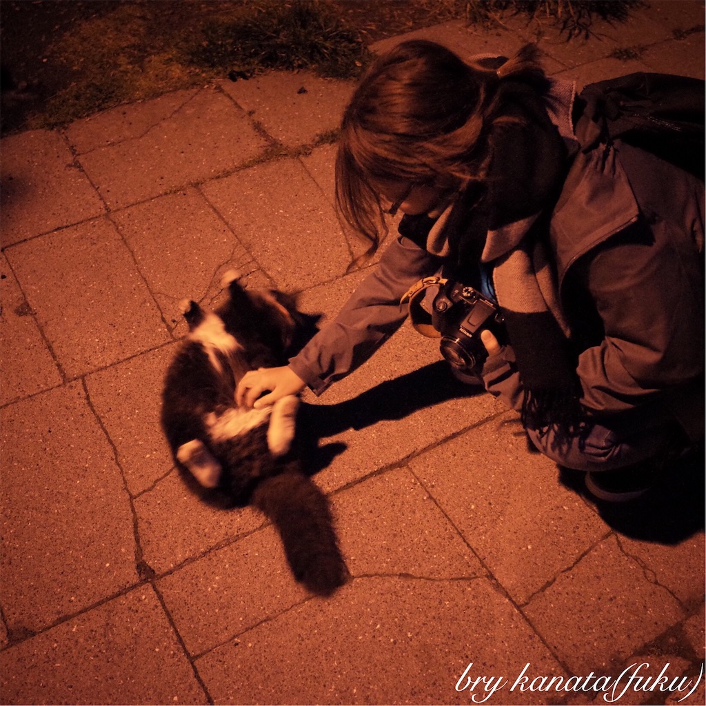 f:id:brykanata:20181103173815j:image f:id:brykanata:20181103173815j:image