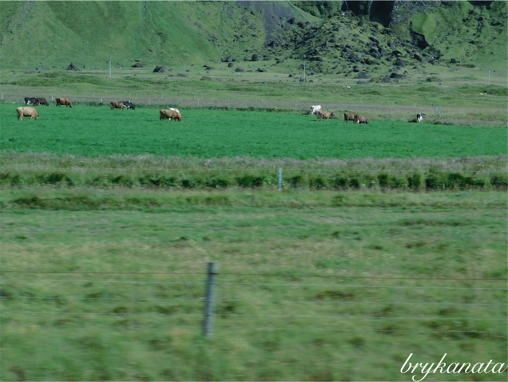 f:id:brykanata:20181126020227j:image