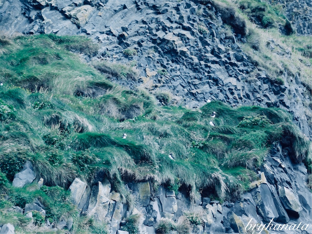 f:id:brykanata:20181126022046j:image