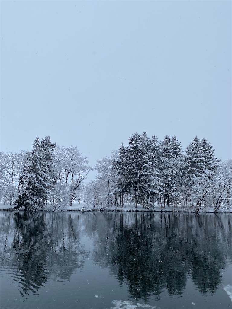 f:id:bscl_80percent:20220119154456j:image