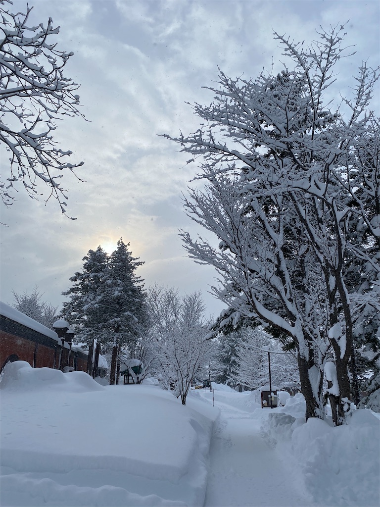 f:id:bscl_80percent:20220119160530j:image