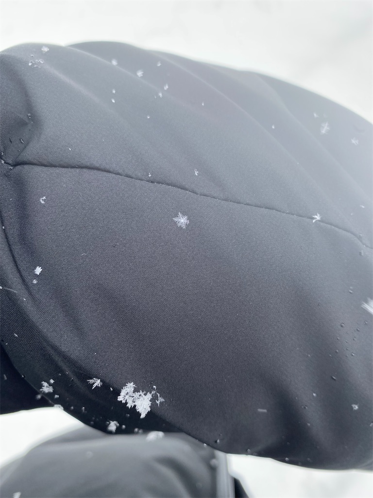 f:id:bscl_80percent:20220123190507j:image