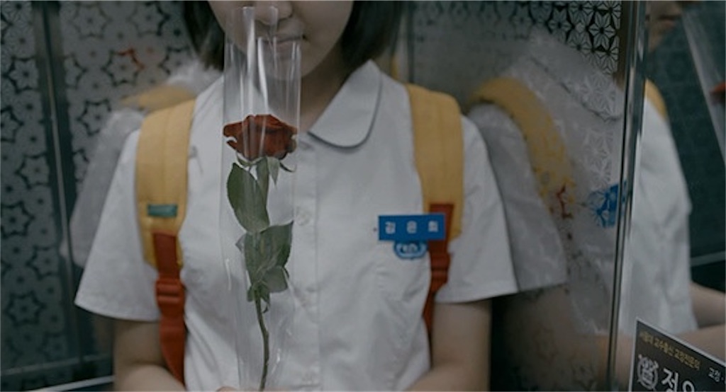 f:id:bsk00kw20-kohei:20201230190028j:image f:id:bsk00kw20-kohei:20201230190028j:image