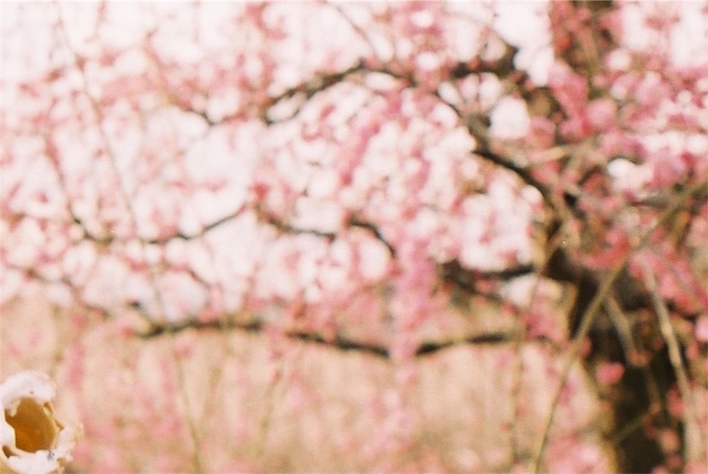 f:id:bsk00kw20-kohei:20210222003859j:image f:id:bsk00kw20-kohei:20210222003859j:image