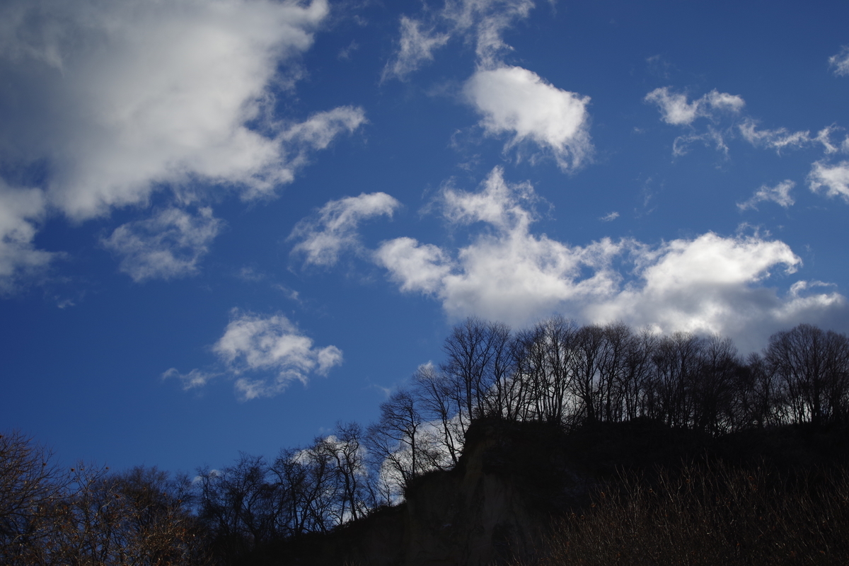 f:id:bsuga:20201227131801j:plain