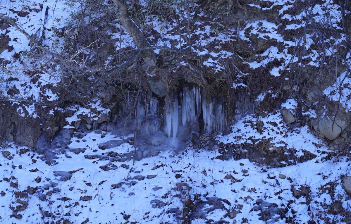 f:id:bsuga:20210104150806j:plain