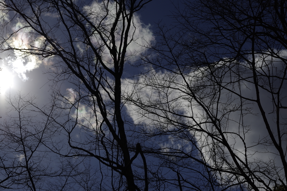 f:id:bsuga:20210104155105j:plain