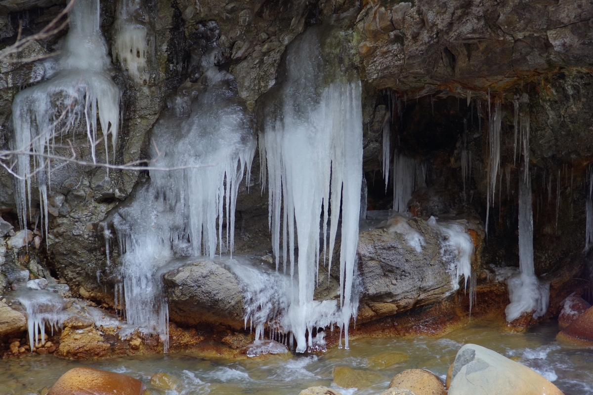 f:id:bsuga:20210109105803j:plain