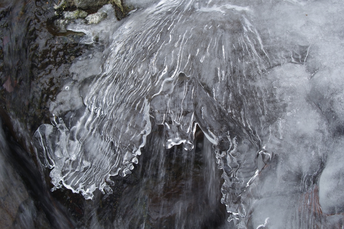 SMC PENTAX-M ZOOM 28-50mm F3.5-4.5 - 古レンズの風に吹かれて