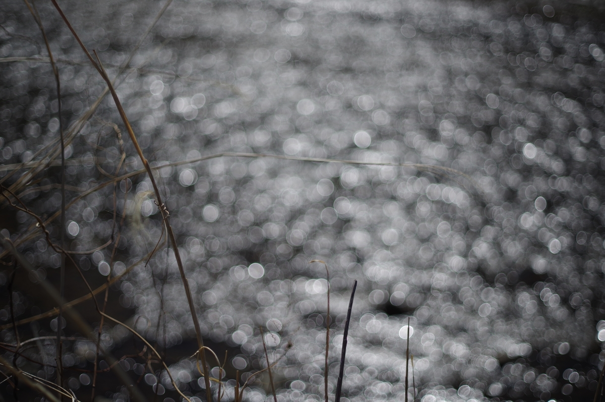 f:id:bsuga:20210507140115j:plain