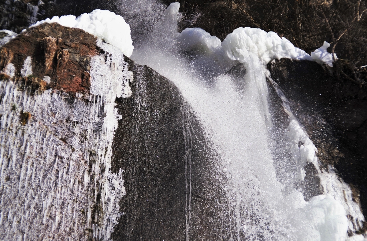 f:id:bsuga:20220109204907j:plain